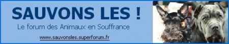  Sauvons les ! 