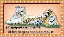 Les animaux en liberté et les cirques sans animaux ! 