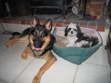 Ralf