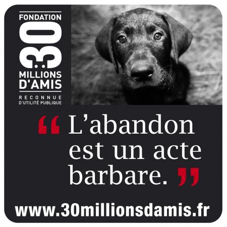 L'abandon