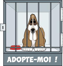 Les adoptions 