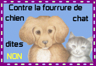 Non à la fourrures de chien et de chat ! 