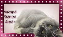 Stérilisez votre animal ! 
