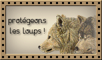Protégeons les loups !