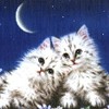 Chats