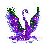 Un cygne
